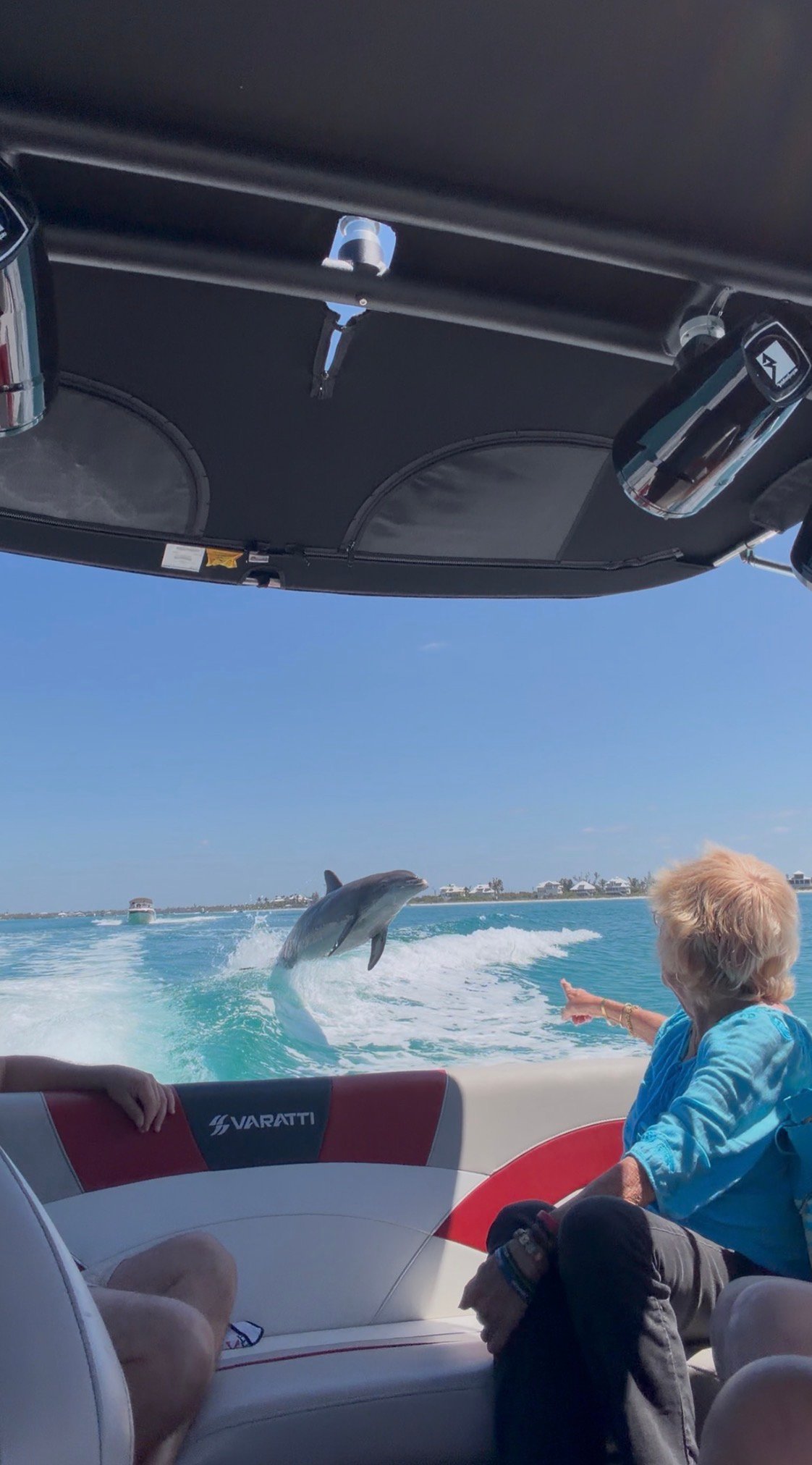 Guest spotting a jumping dolphin