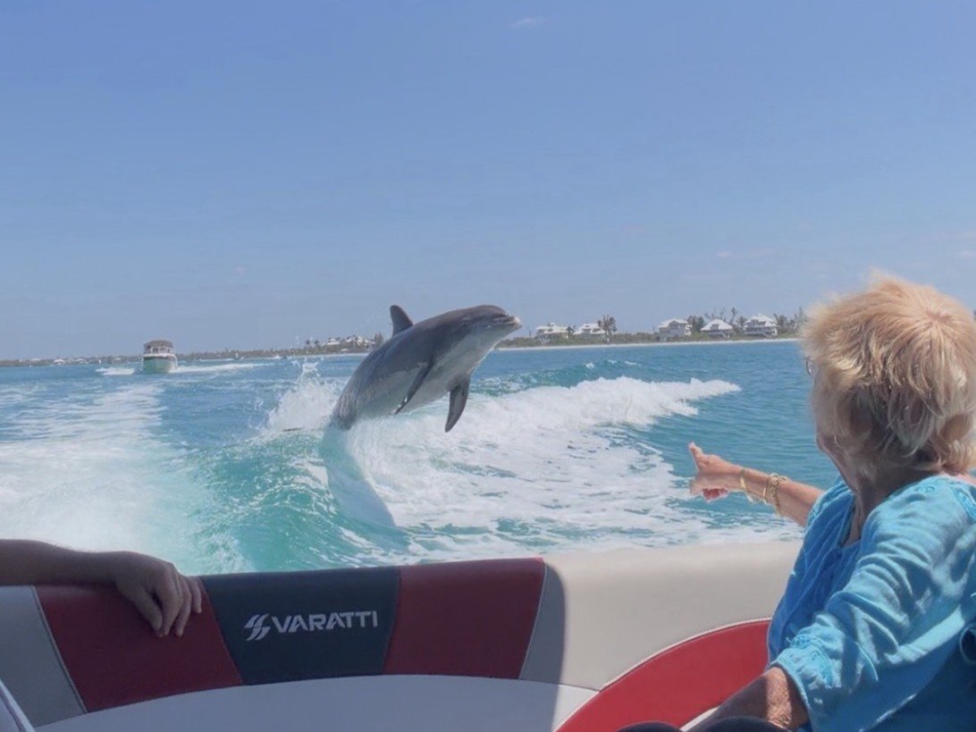 Dolphin eco tour Englewood FL